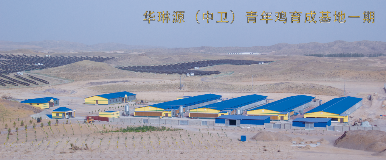 华琳源中卫育成基地