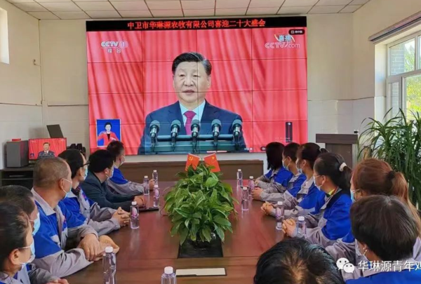 文章附图